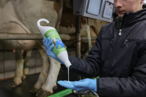 Masť na ošetrovanie vemena KerbaMINT s japonskou mätou – 500 ml