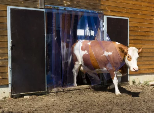 Priehľadná PVC pásová závesová roleta v kotúči 20 cm x 2 mm – 50 m