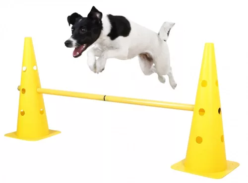 Agility skákacia súprava s tromi prekážkami, 6 kužeľmi, prekážková a slalomová dráha v jednom – žltá